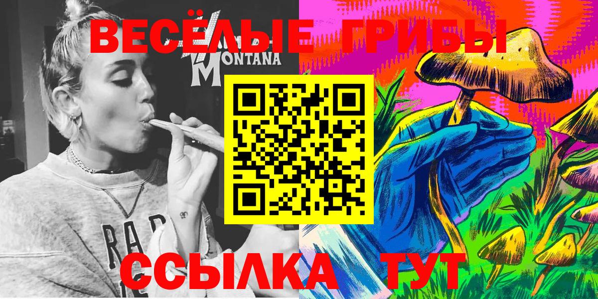 Галлюциногенные грибы Psilocybine cubensis Ялта